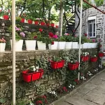 The Mosaic House - Shtepia Me Mozaik 招待所