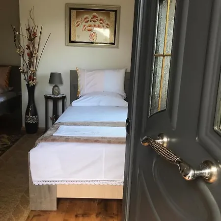 The Mosaic House - Shtepia Me Mozaik Permet