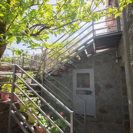 The Mosaic House - Shtepia Me Mozaik Guest house