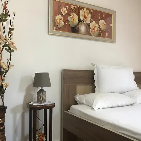The Mosaic House - Shtepia Me Mozaik Guest house