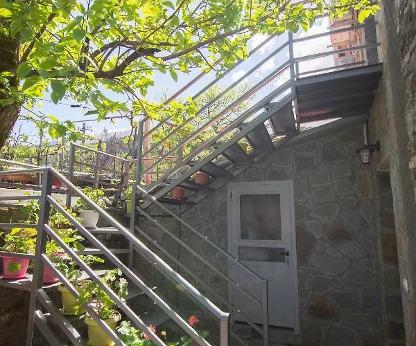 The Mosaic House - Shtepia Me Mozaik ゲストハウス