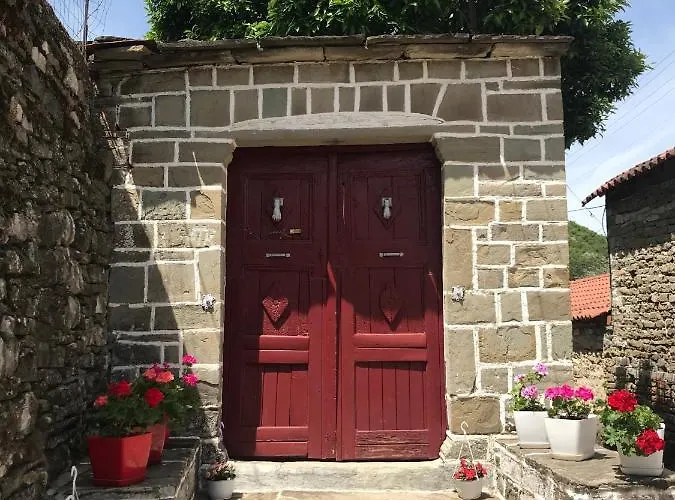 The Mosaic House - Shtepia Me Mozaik