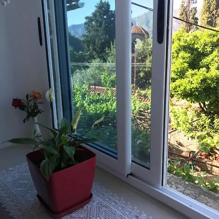 Casa de hóspedes The Mosaic House - Shtepia Me Mozaik 4*